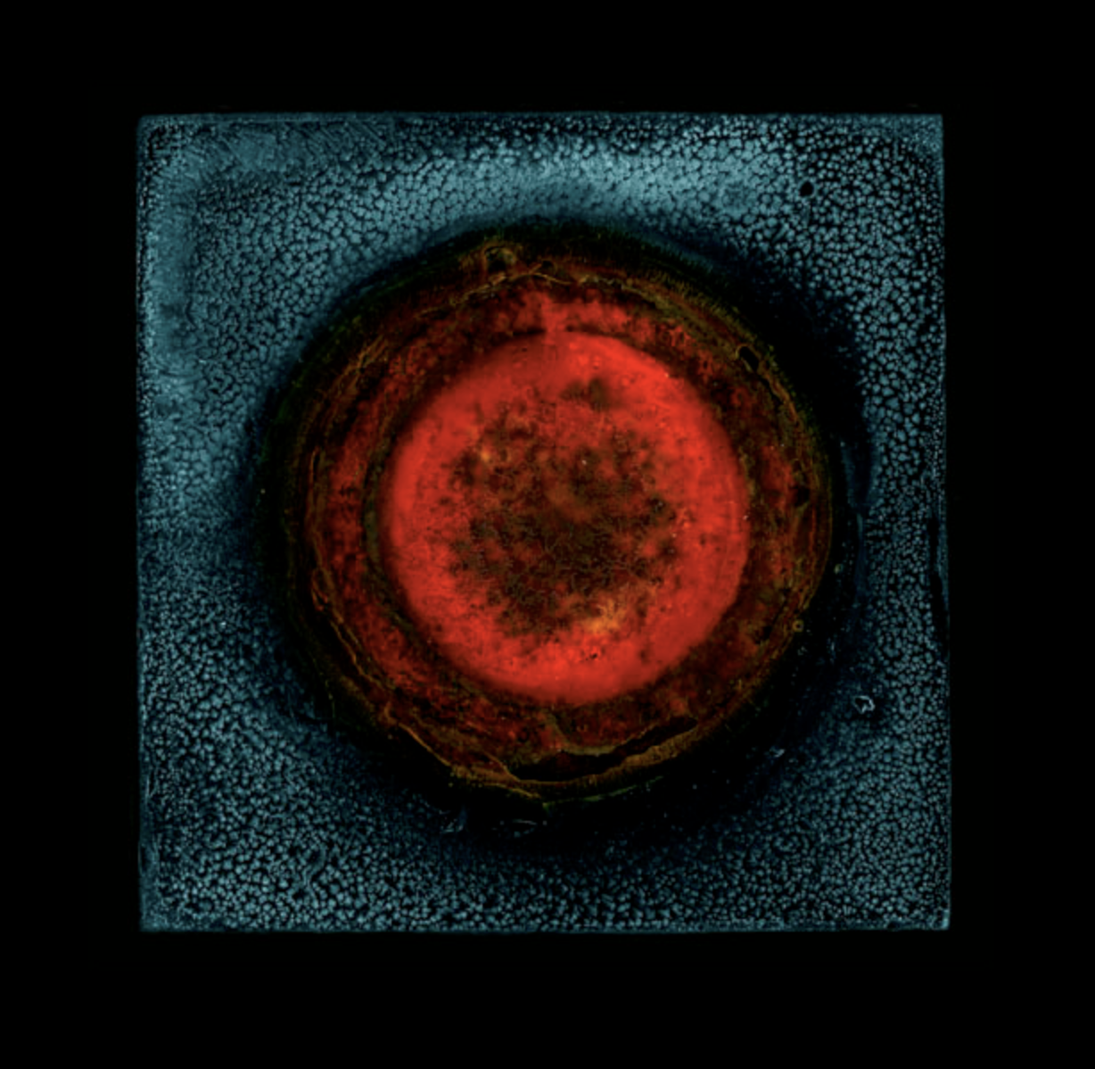 Screenshot 2022-06-08 at 19.11.43.png