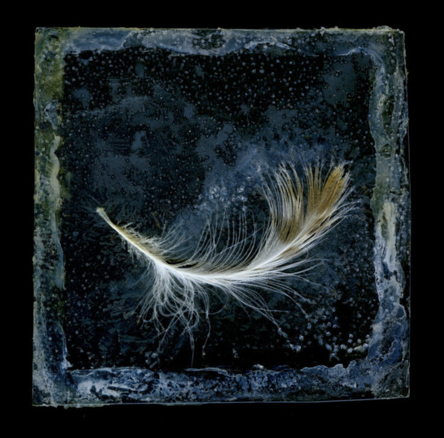 Screenshot 2022-06-08 at 19.10.53.png