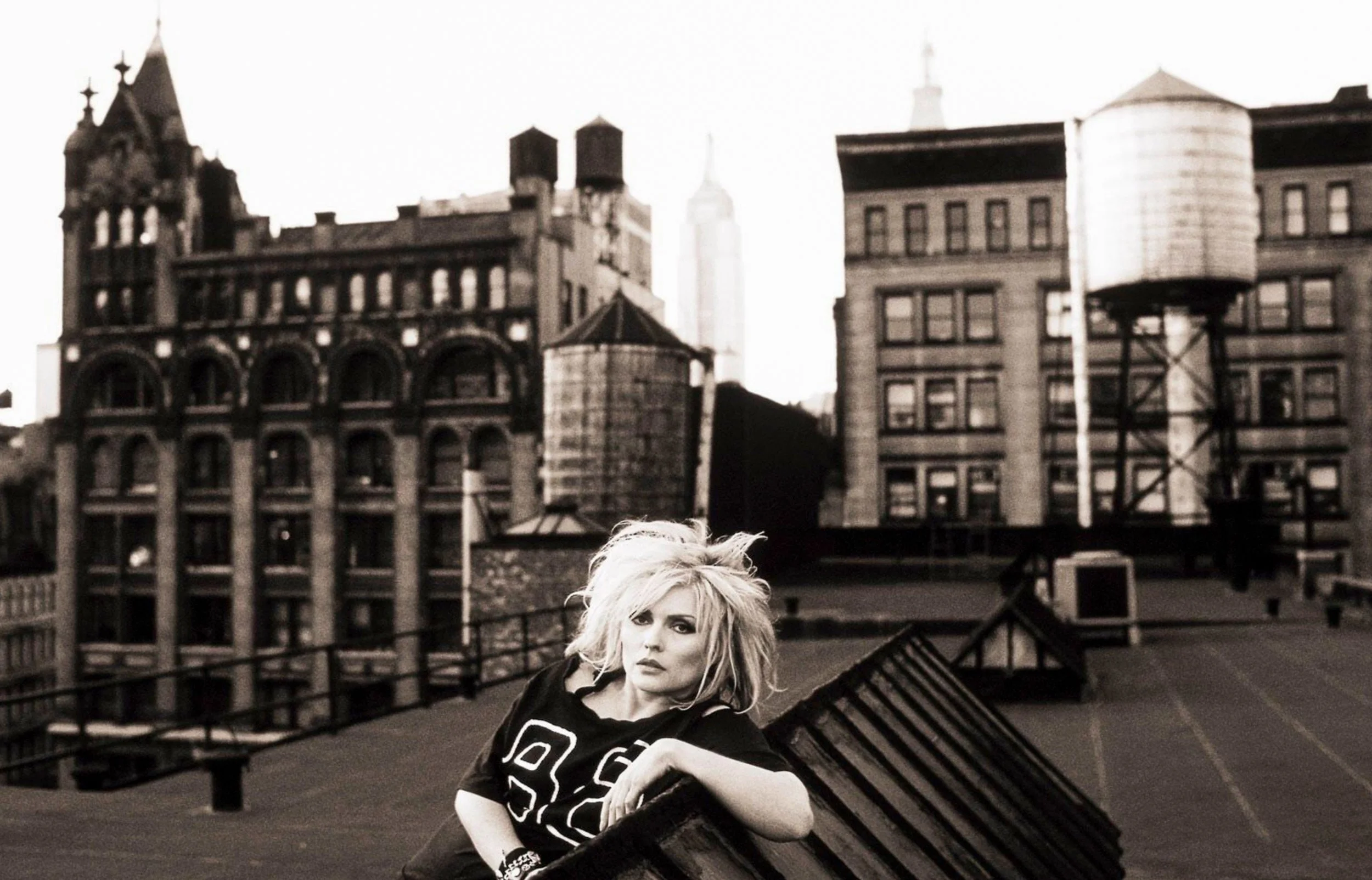 Blondie 4 copy.jpg