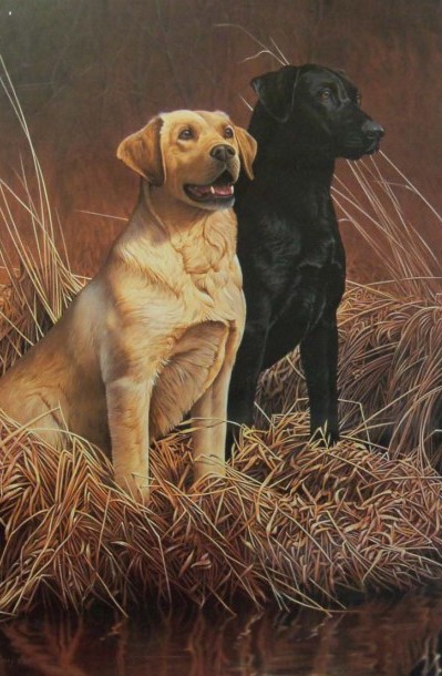 Jake-and-the-Lady-510x739.jpg