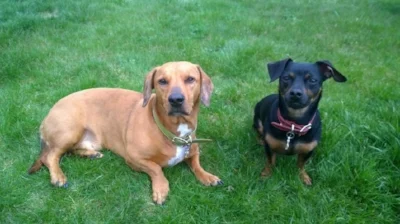 Diego & Vegas