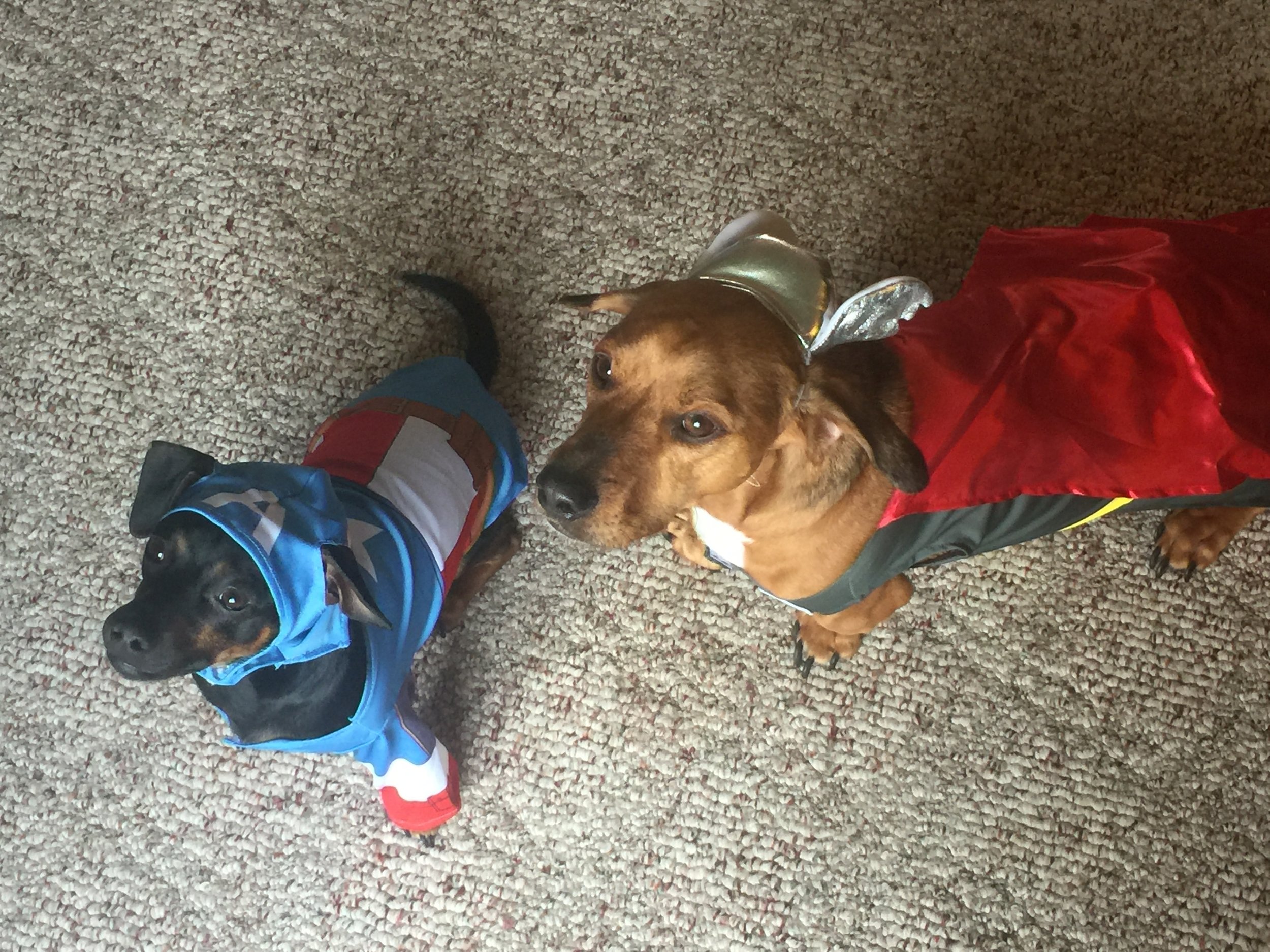 I see you judging me and I don't care - they're adorable....