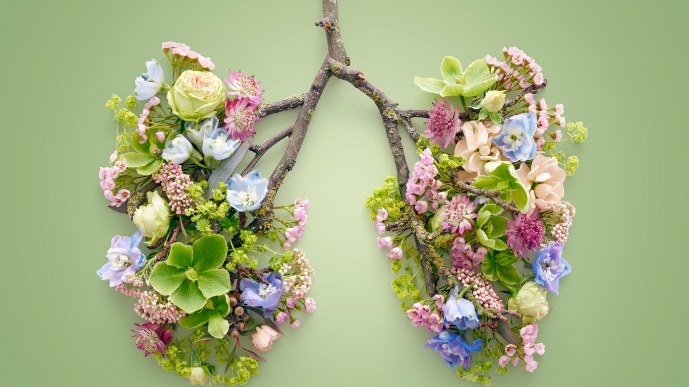 Untitled design (15).png