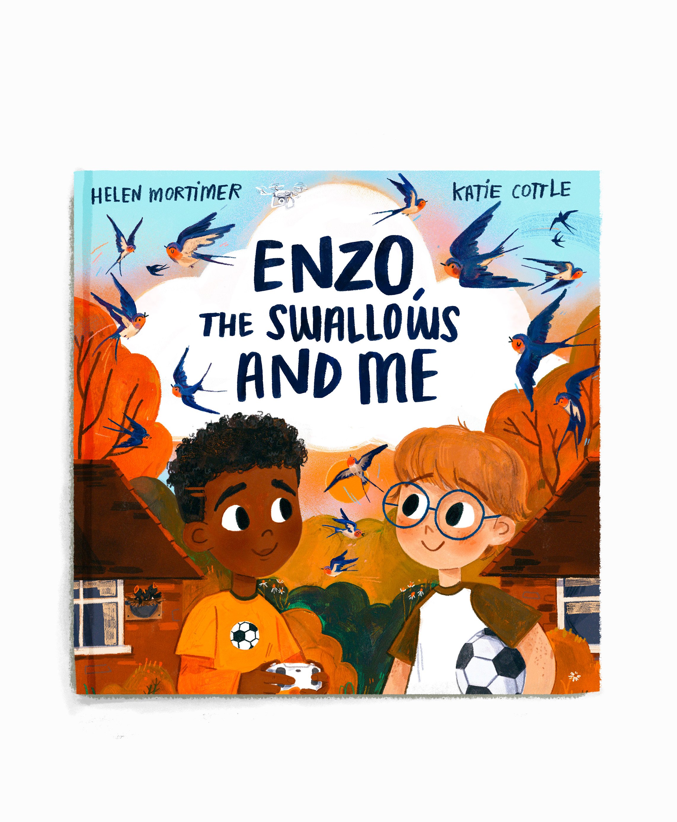 Enzo, The Swallows and Me (2022, Owlet Press)