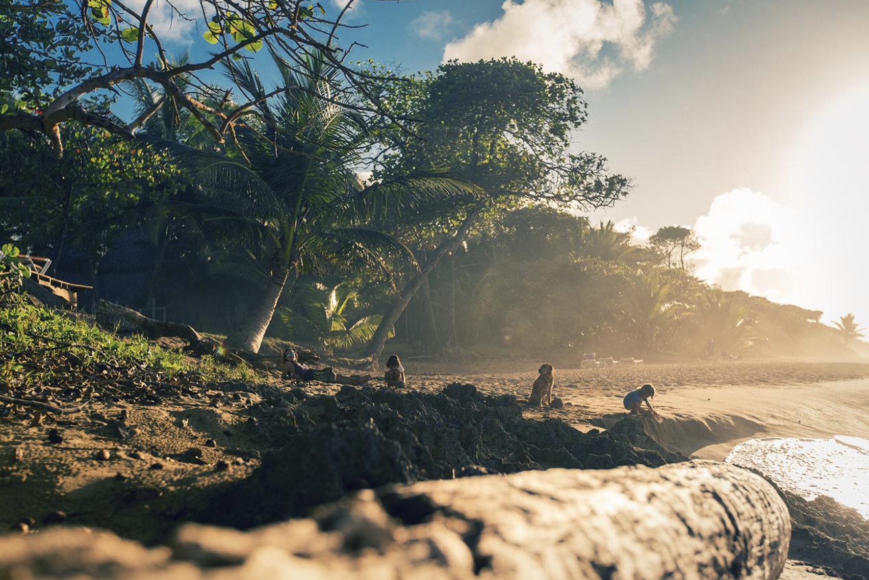 Screen Shot 2019-01-21 at 16.51.04.png