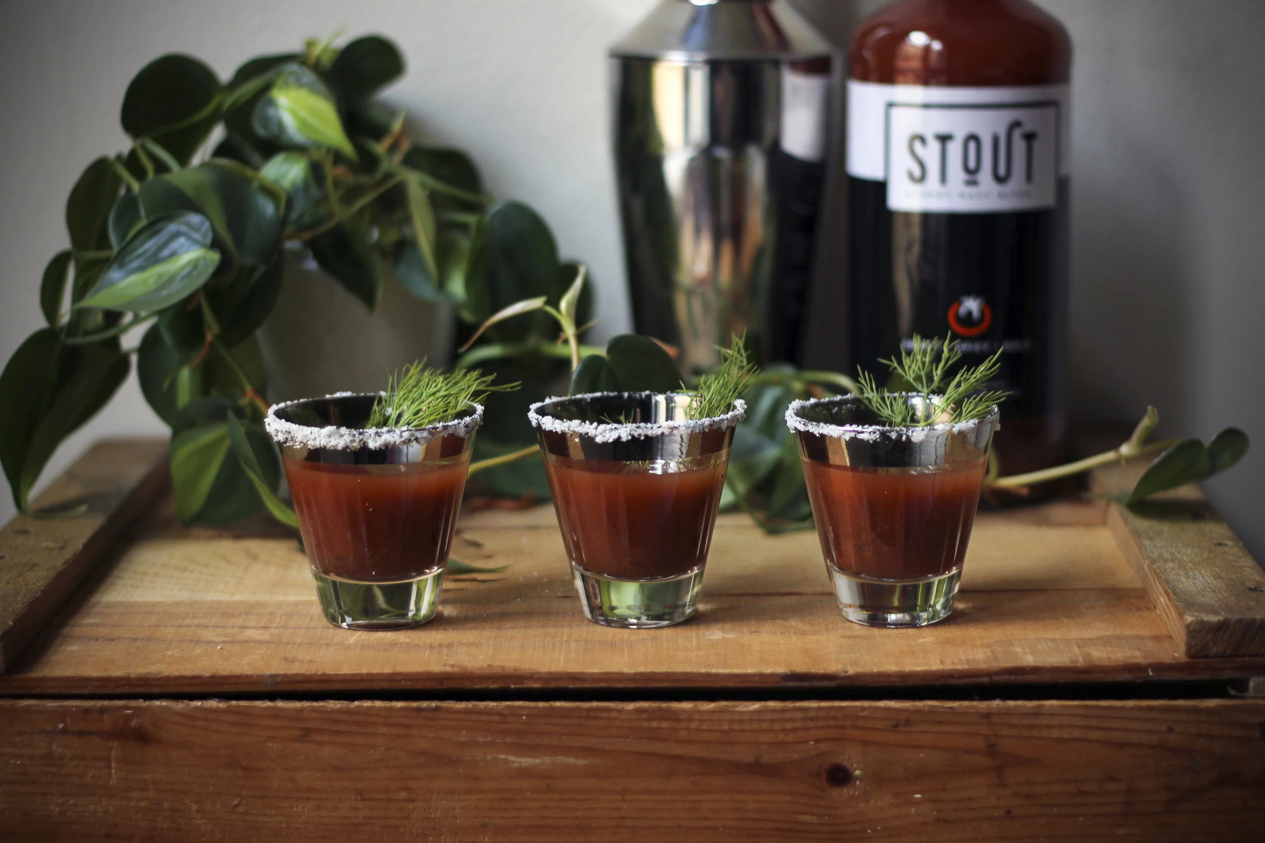 stout7.jpg