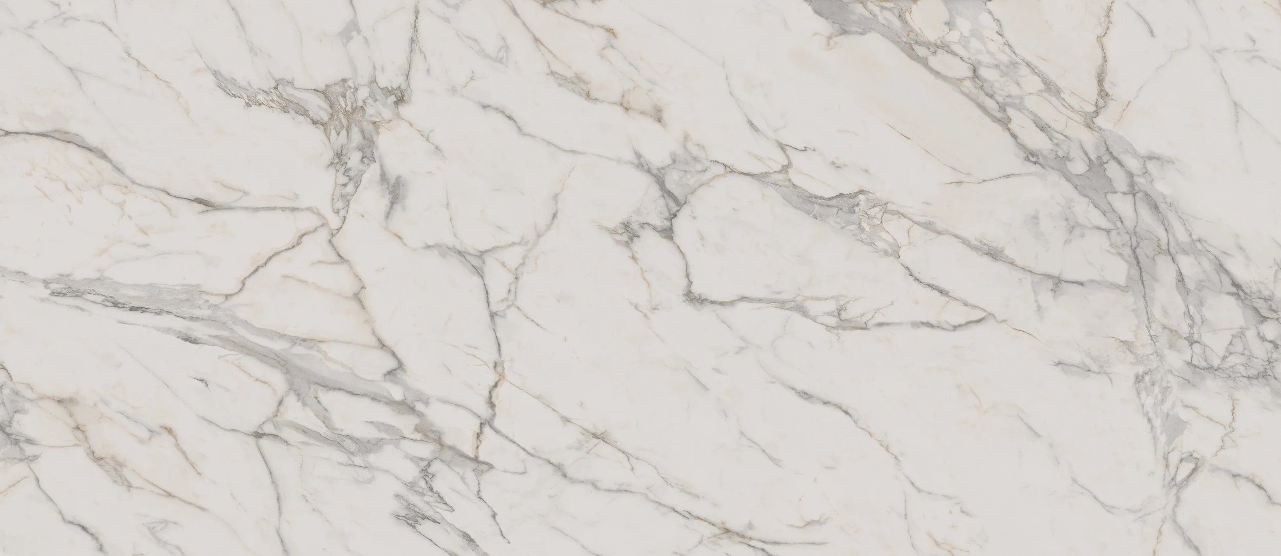 MARVEL CALACUTTA EXTRA.jpeg