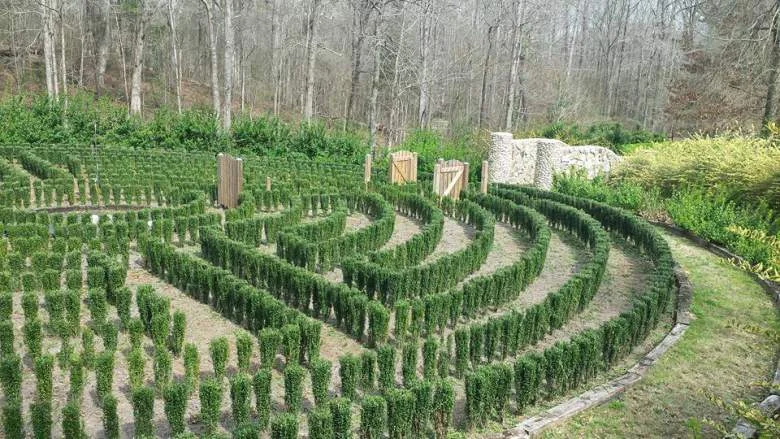 John's maze with 64 and one null possible solutions.
