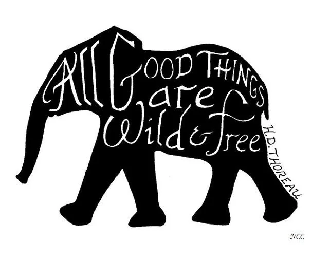 cbabc70bb1dadf92e1fd366fafb5cebb--elephant-quotes-elephant-art.jpg