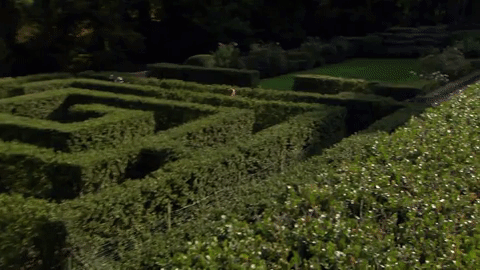 giphy (7).gif