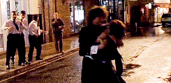 giphy (2).gif