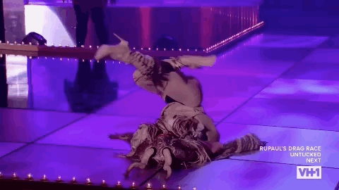 giphy.gif