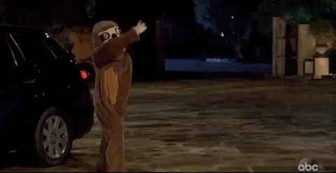 giphy (1).gif