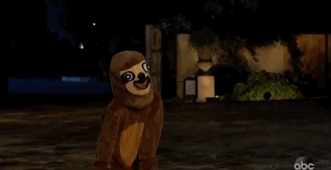 giphy (4).gif