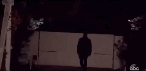 giphy (1).gif