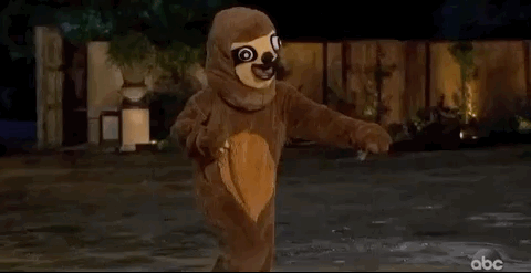 giphy (2).gif