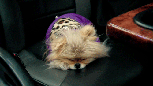 giggy.gif