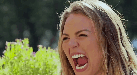 giphy (3).gif