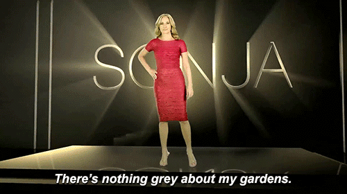 RHONY-tagline-Sonja-Morgan.gif