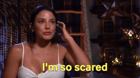 giphy (11).gif
