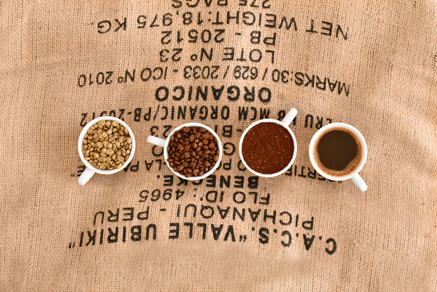 baroesta_kaffee_whitecups_opt.jpg