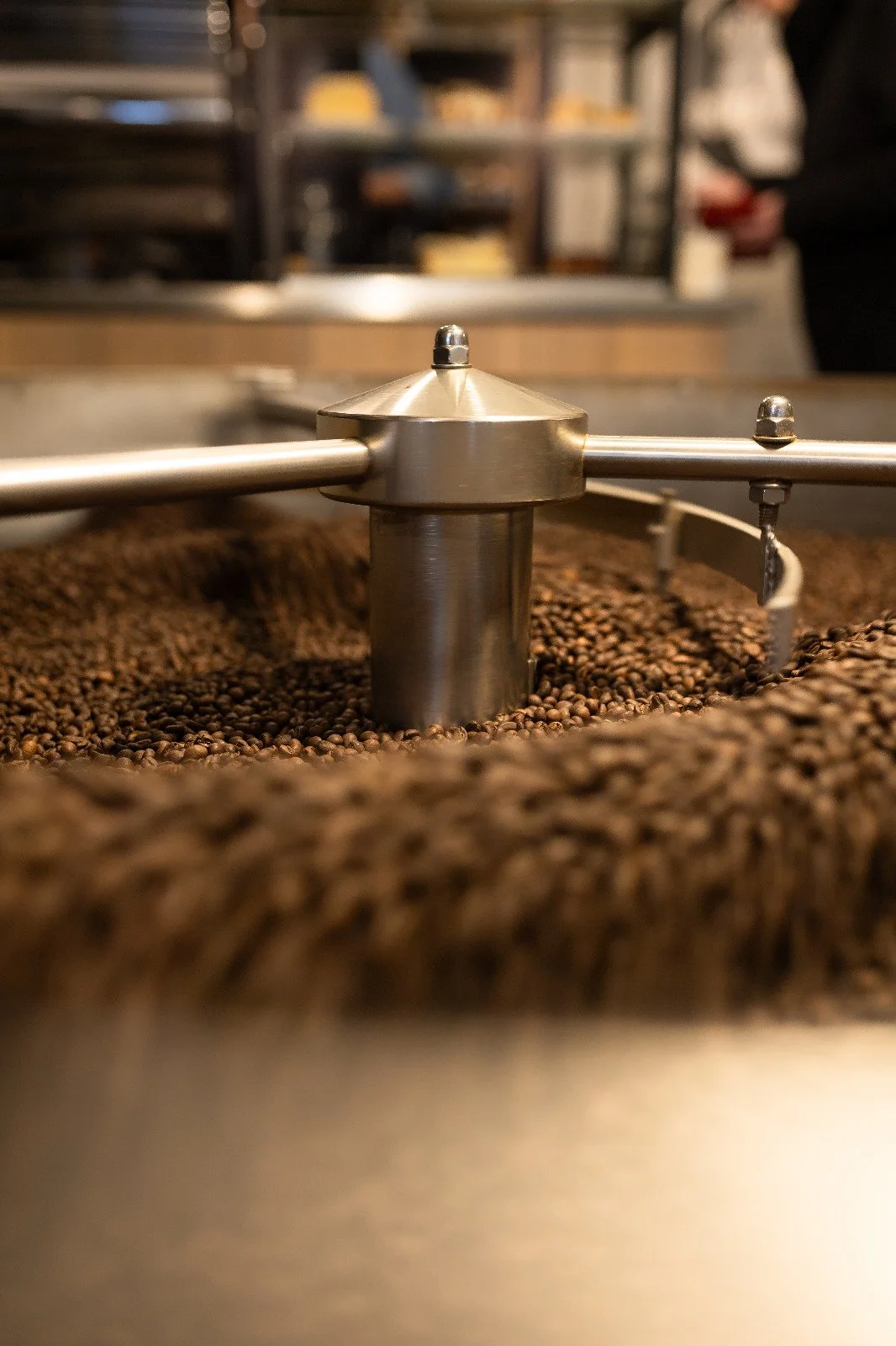 A47FDF48-20E2-4C44-89EA-4F4BD07E9E00_L0_001-6.12.2025, 00_32_53.jpg