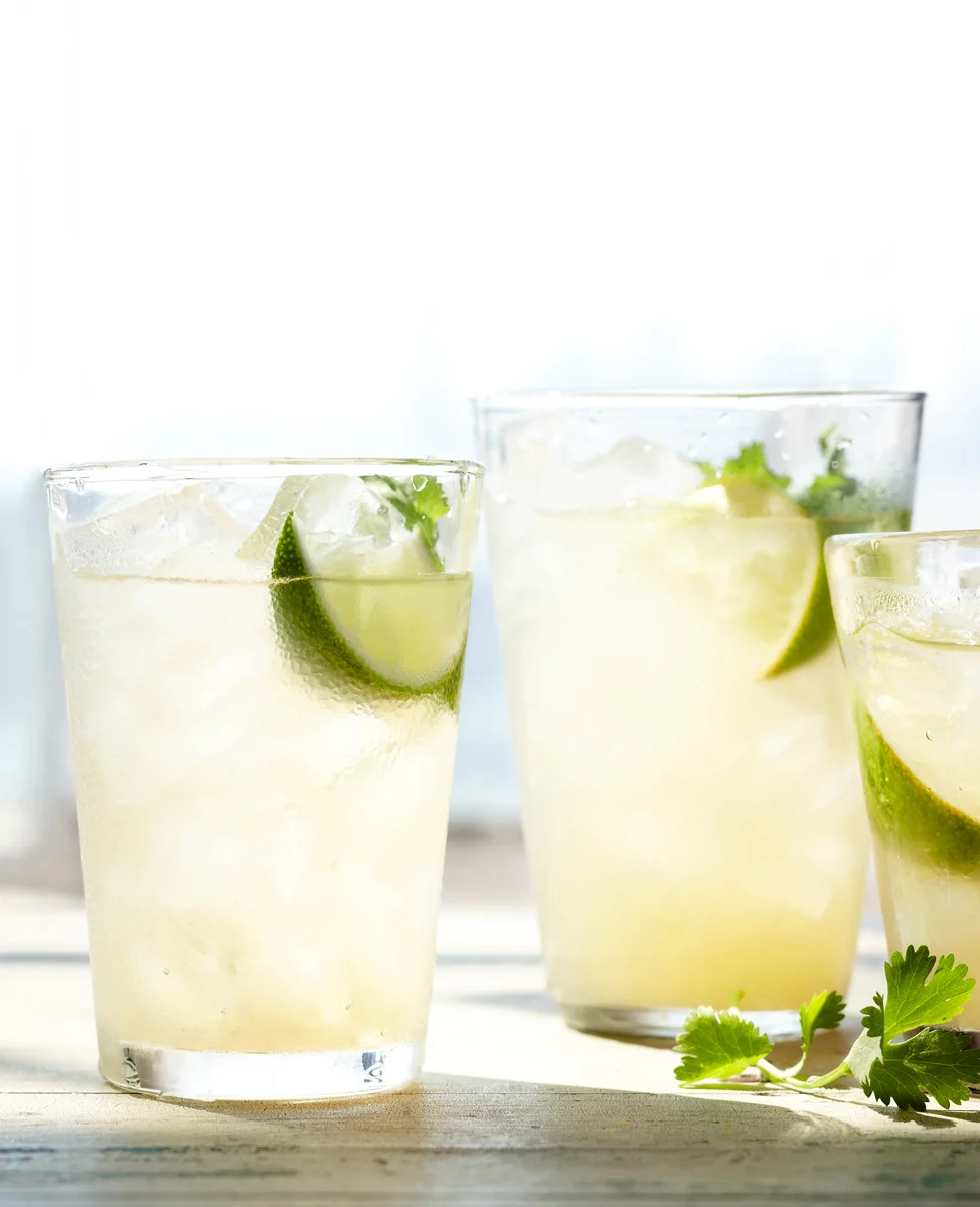 dana_gallagher_Limeade_.jpg