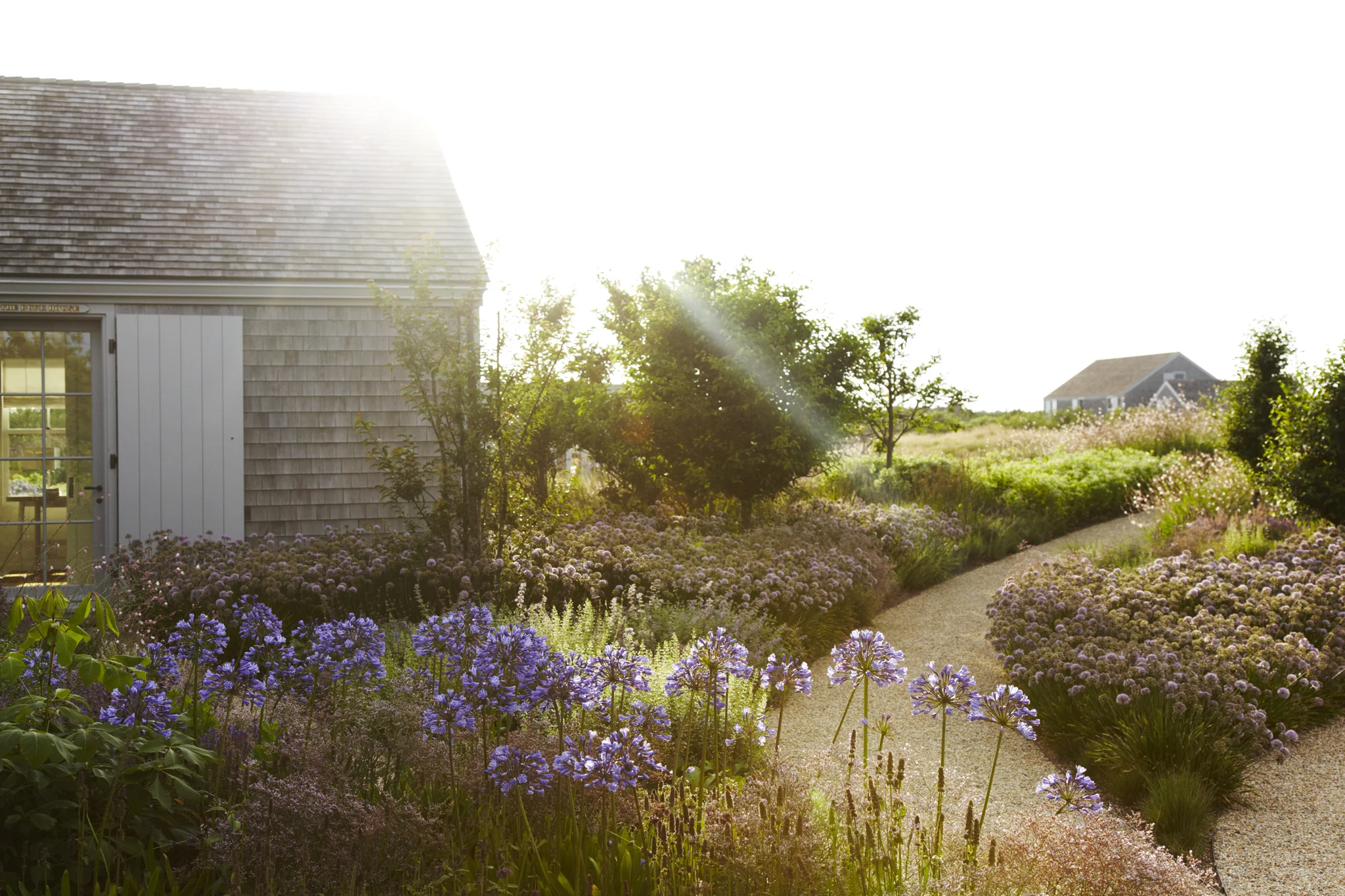 dana_gallagher_nantucket_tmag_01.jpg