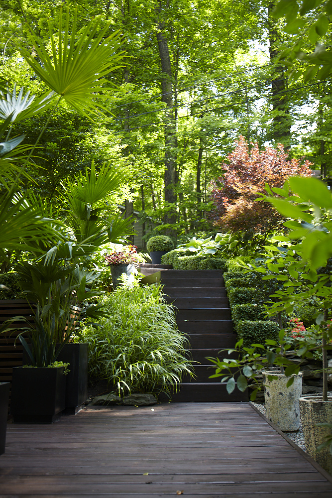 dgallagher_garden_stairs.jpeg
