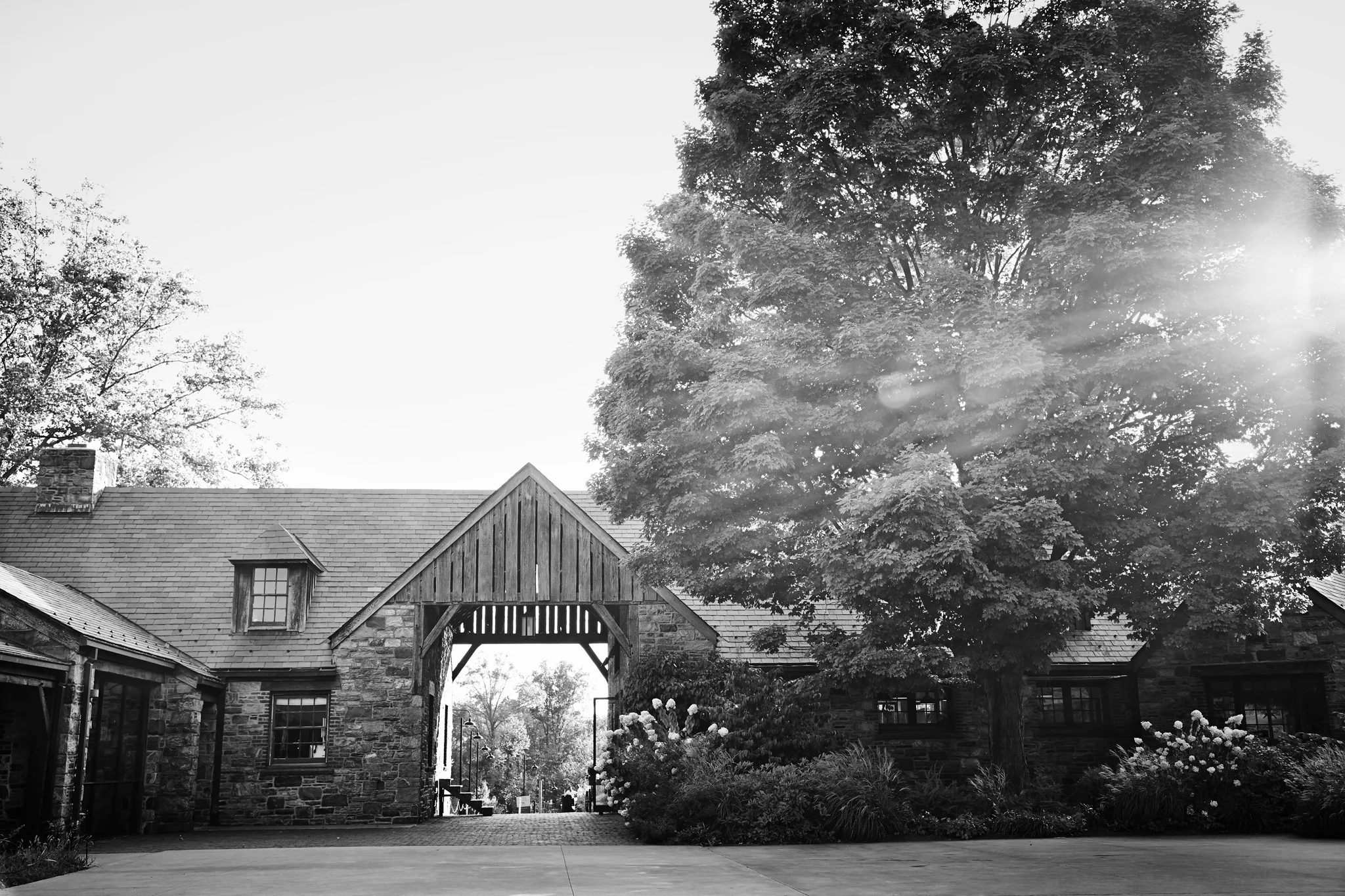 dana_gallagher_bluehill_stonebarns_0115_v1.jpg