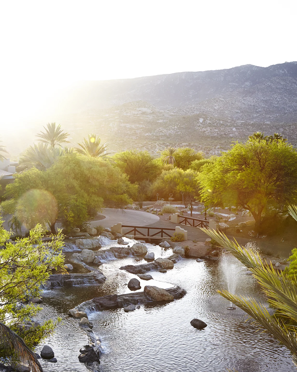 dana_gallagher_miraval_property_.jpg
