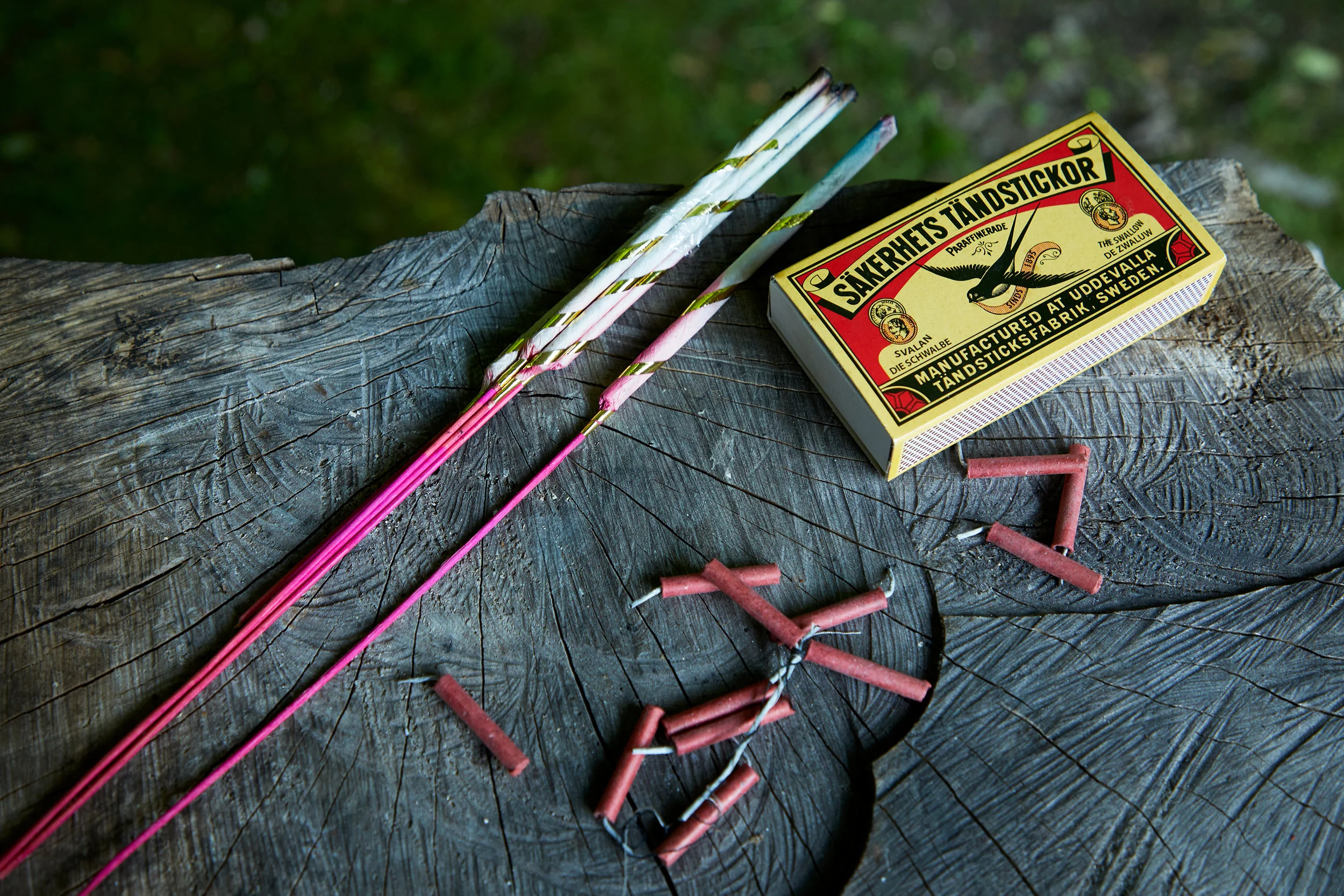 firecrackers_dana_gallagher0016.jpg