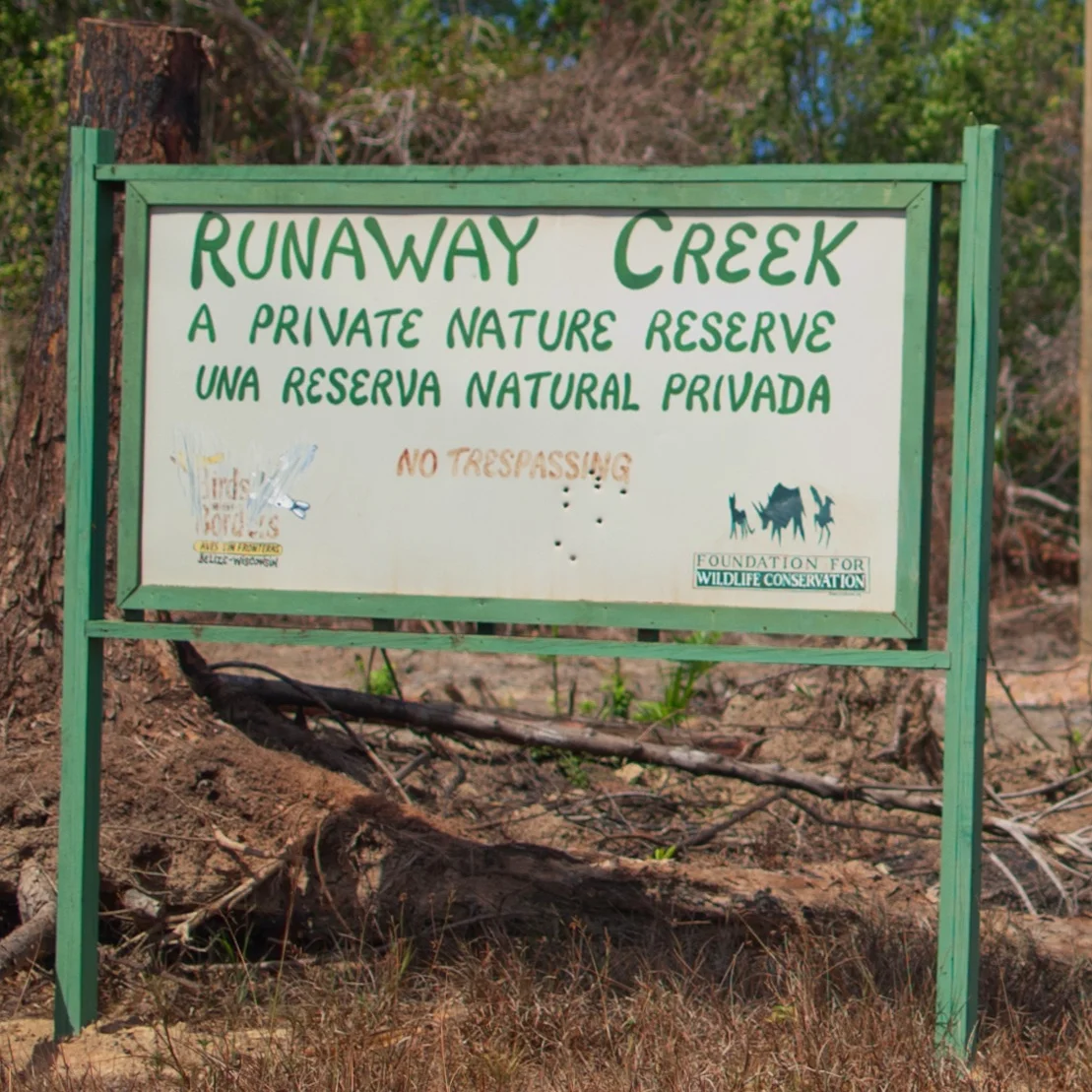 UMagazine_Belize_RunawayCreekSign.jpg