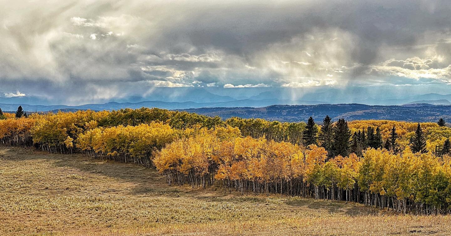 Prairies, trees, mountains, clouds - all perfectly timed. #albertafall #albertaskies #fallcolours