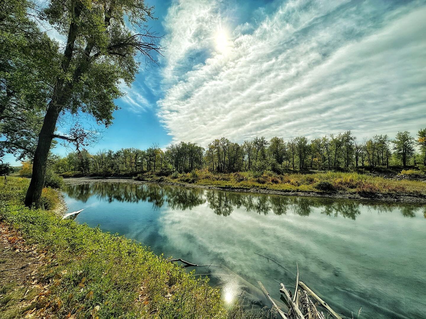 I love my walk to the library, especially on days like this. #yycpathways #bowriver #firstdayoffall