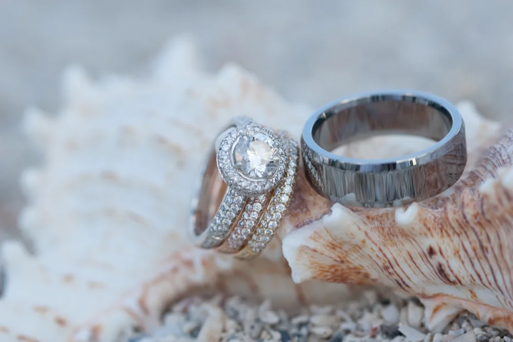 20090323_rings_0068.jpg