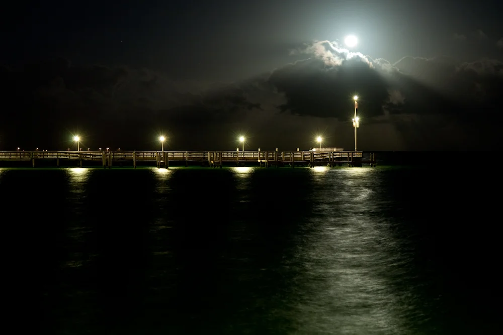 TD_0087.jpg
