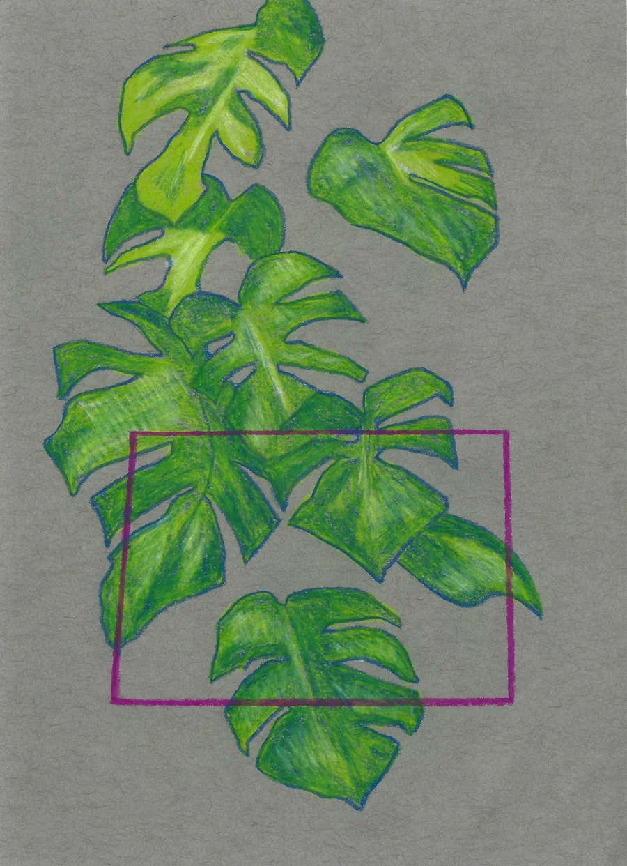 5” x 7” colored pencil on paper