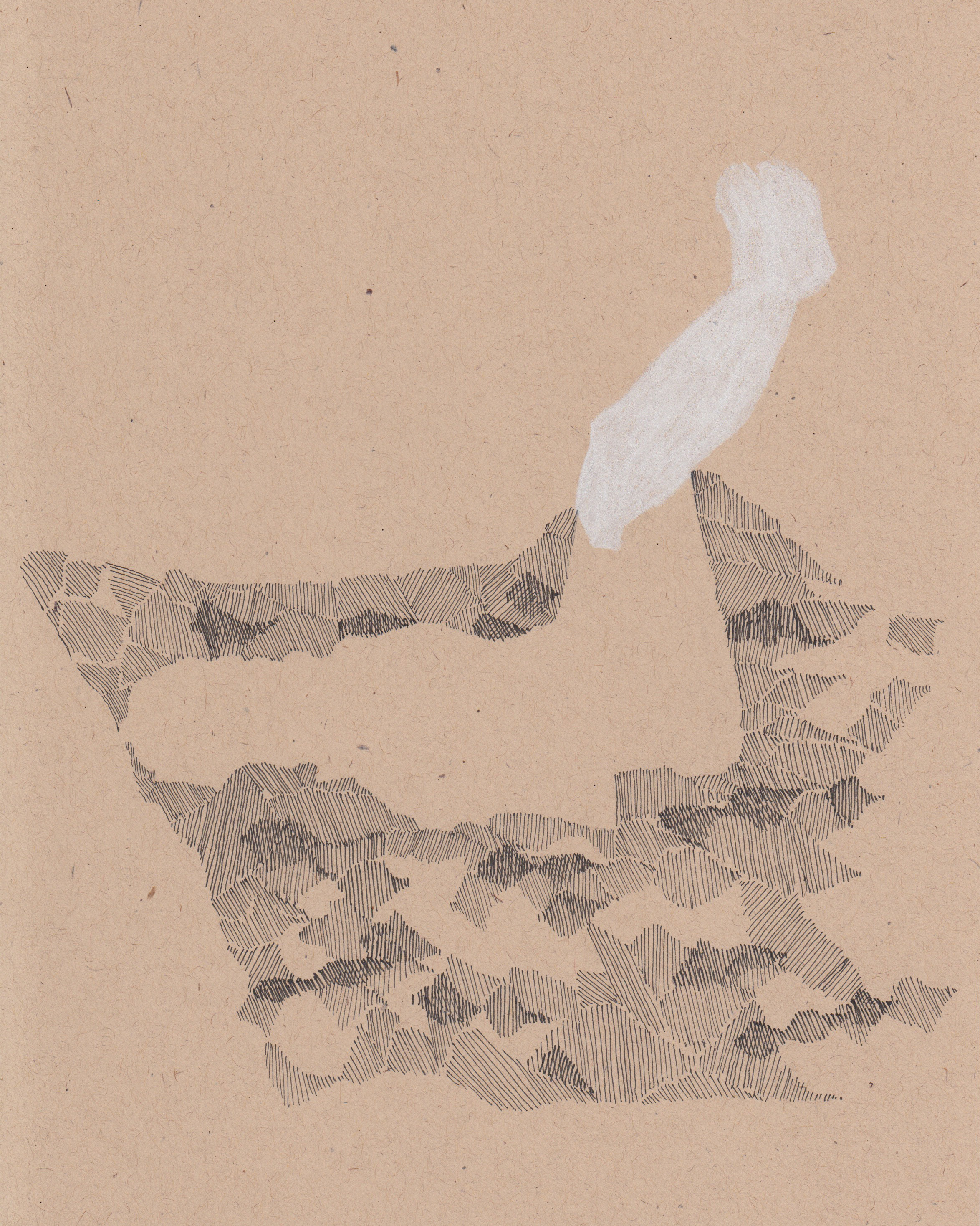 8” x 10” graphite, pen and colored pencil on paper