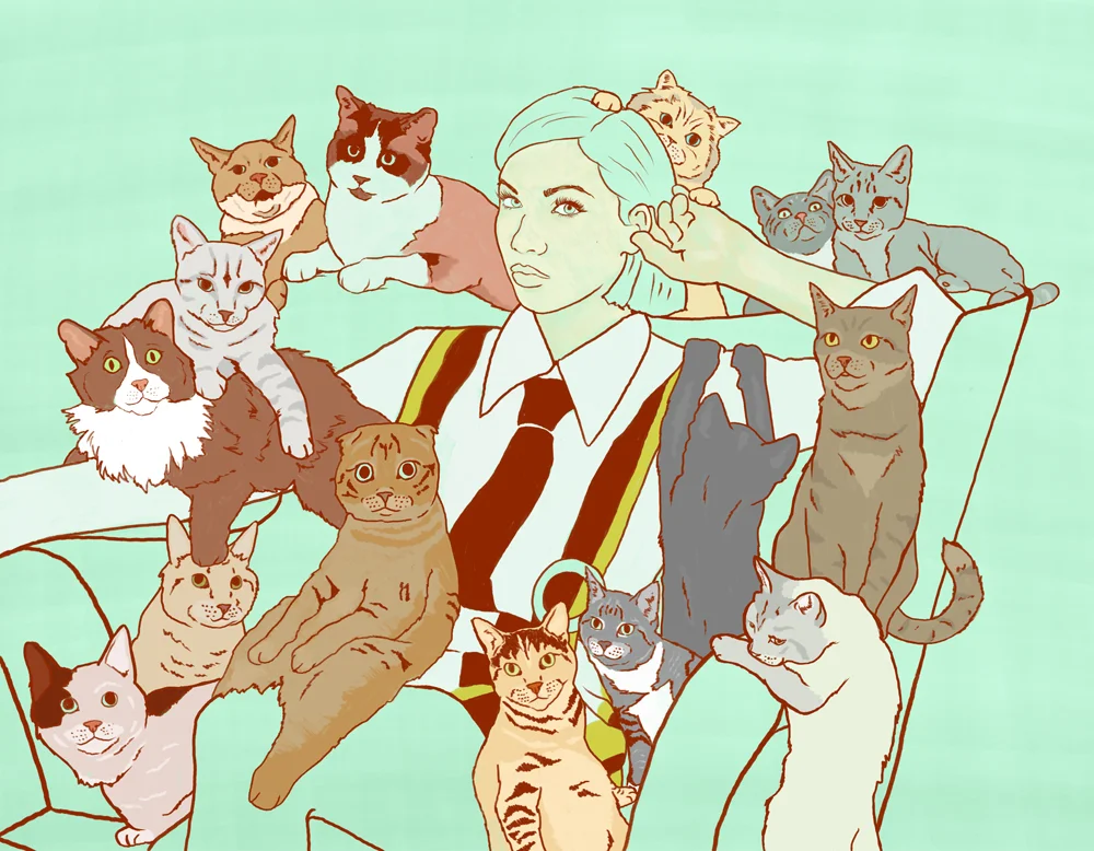 CRJ_Cat_3.jpg