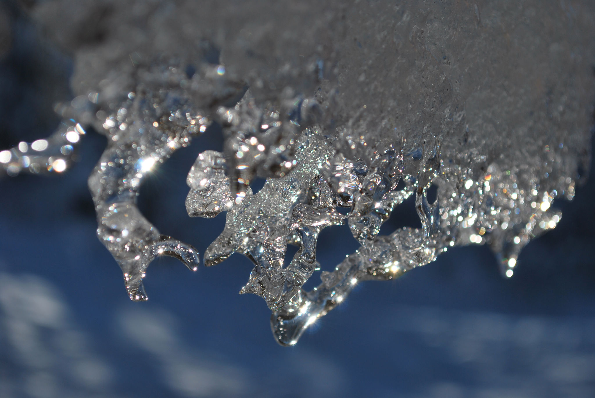  The Elegant Icicle 