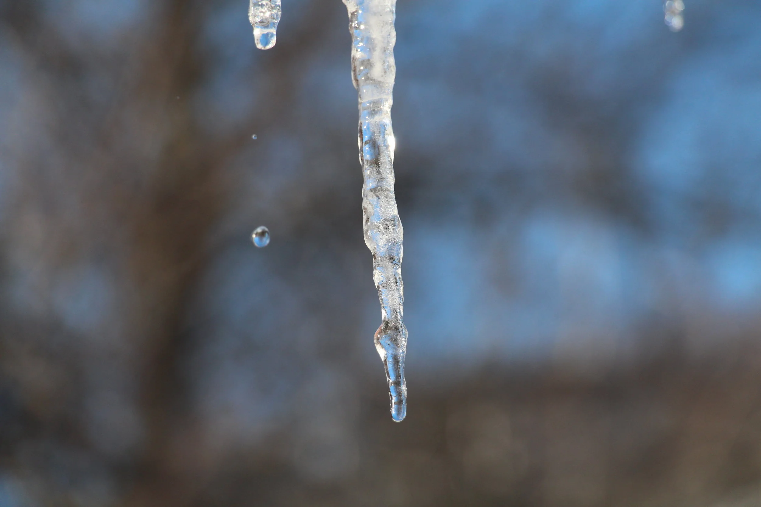  Frozen Drop 
