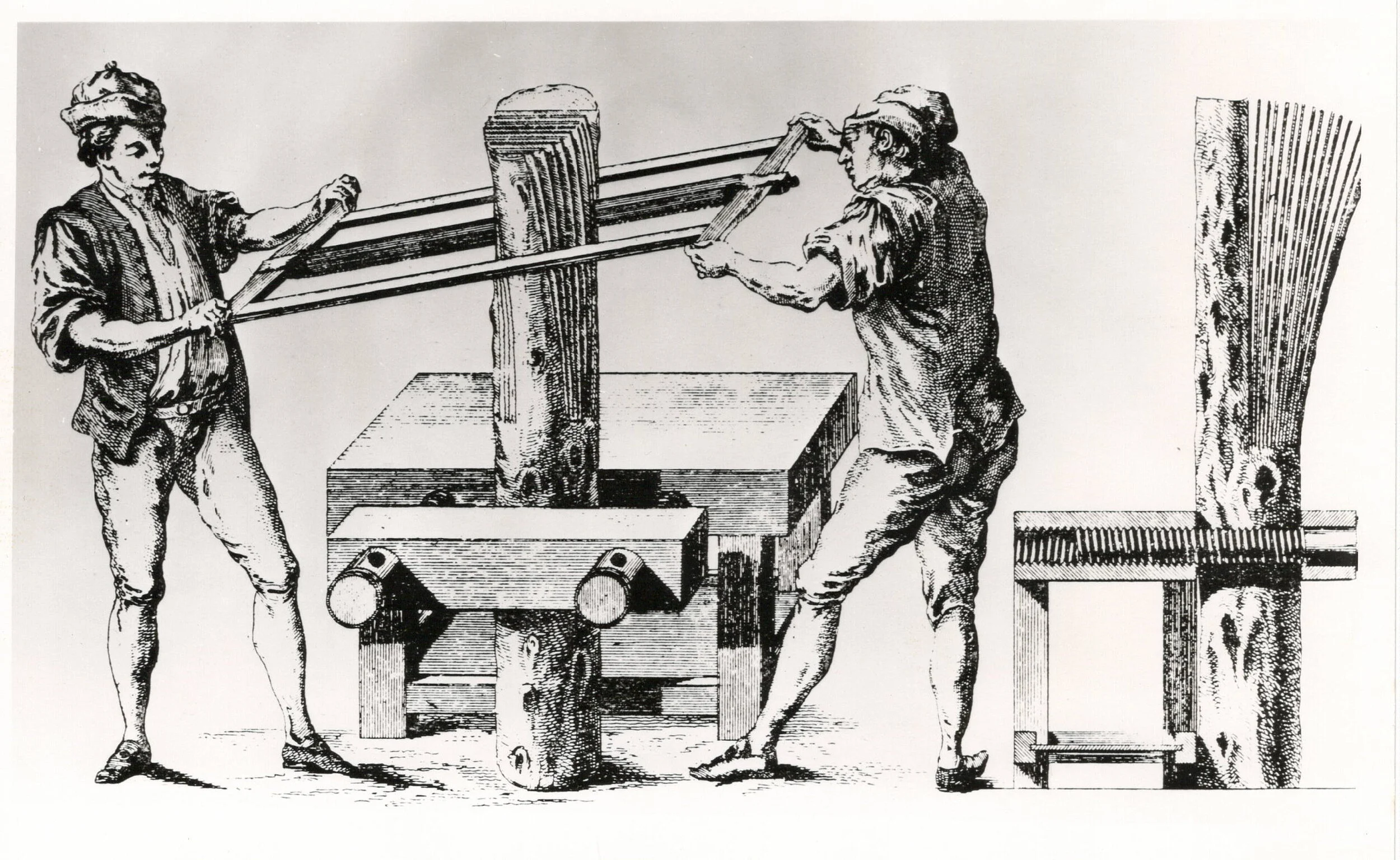 Bly's Bounty June 2020 Edition