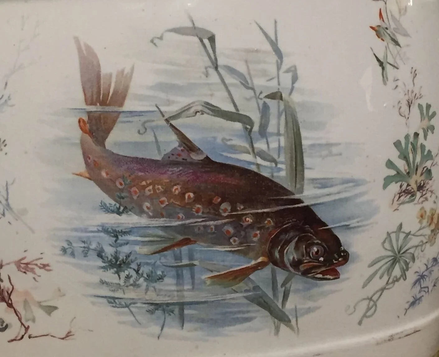 Bly's Bounty June Edition 2021 - Our 130th Year!