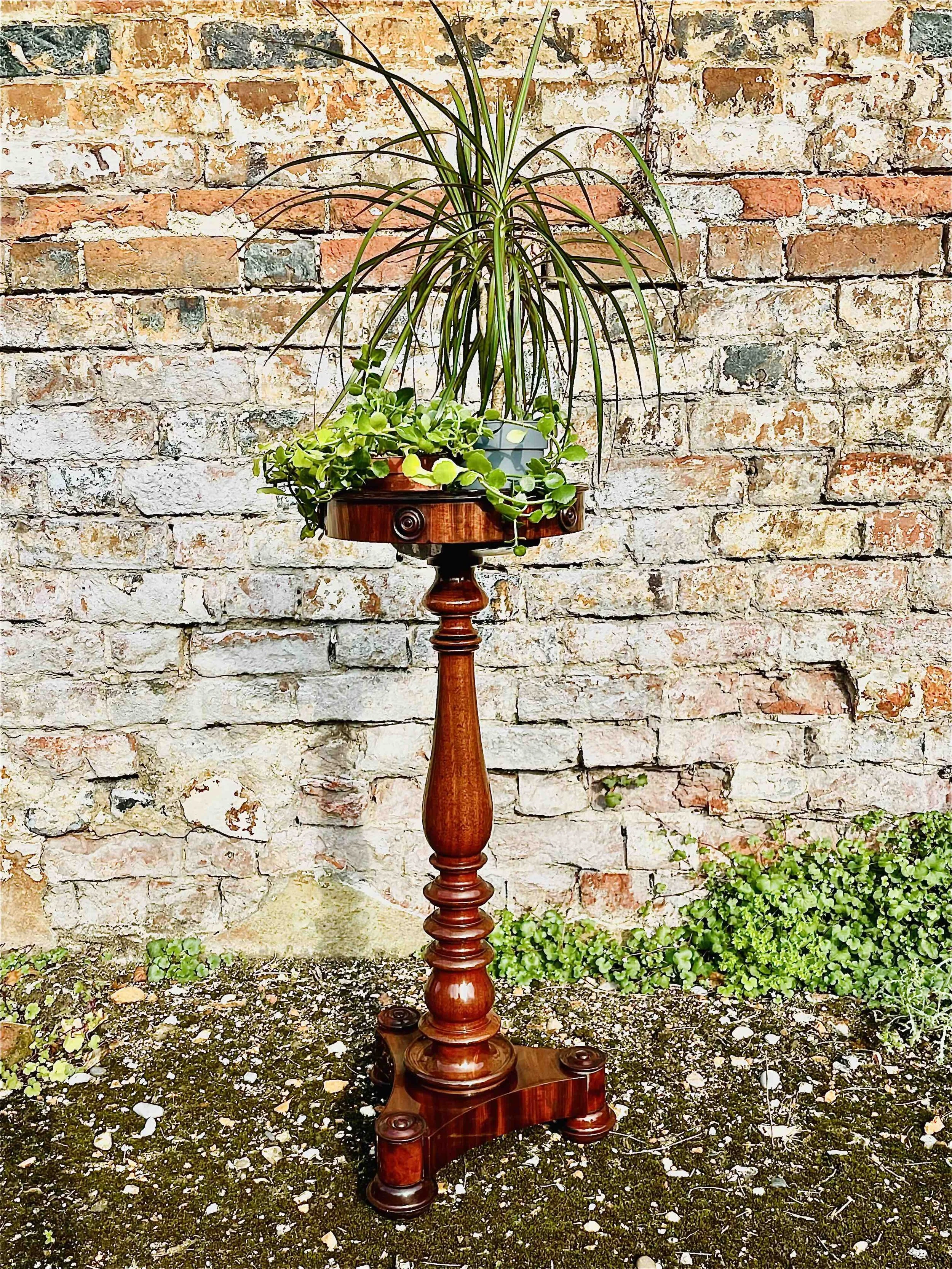 Early 19th Century Mahogany Stand and Jardinière.