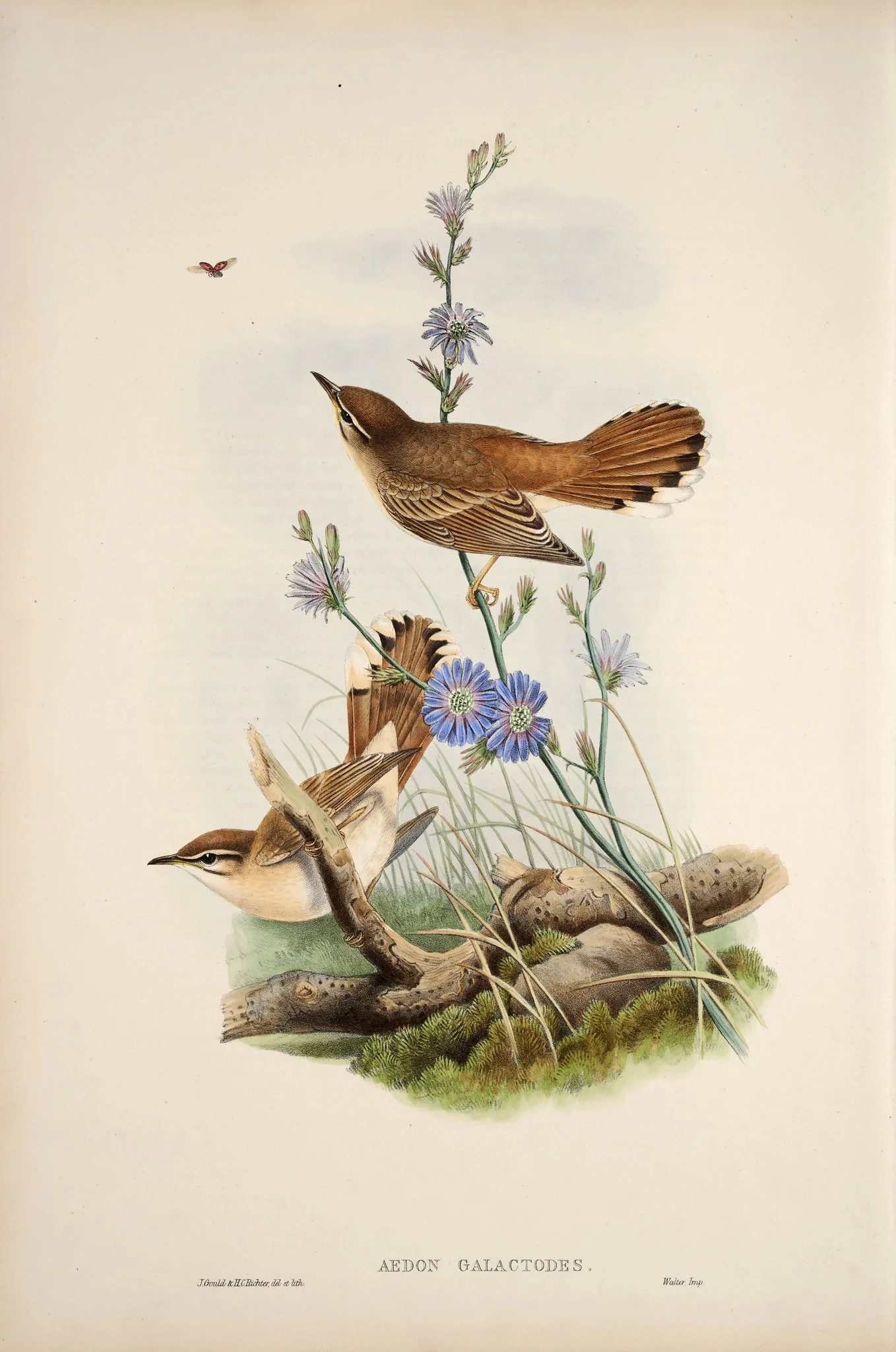 Bly's Bounty Newsletter - March Edition 2025