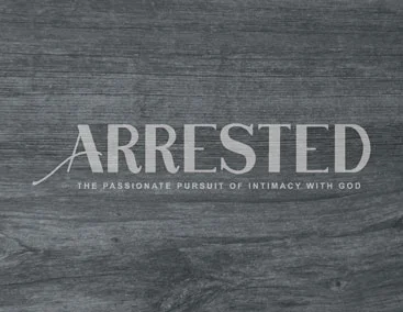 arrestedGraphicLook_forWebsite.jpg