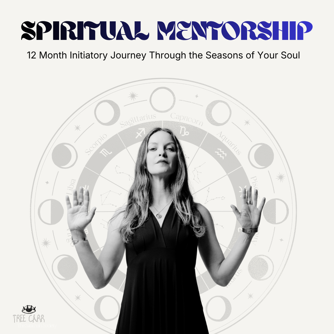 SPIRITUAL MENTORSHIP.png