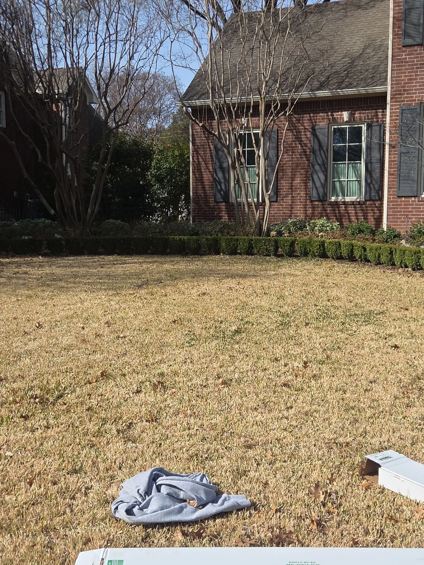 6-Feb 24 2026 02_55pm-5DNo.jpg
