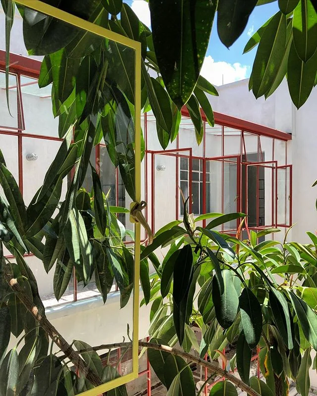 A warning: we are going to use the word &ldquo;favorite&rdquo; a lot in this post, but our favorite online design magazine @_sightunseen_ just posted a week&rsquo;s worth of content about one of our favorite destinations, Mexico City, including our f